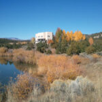 Family Reunion Fishing Lodge